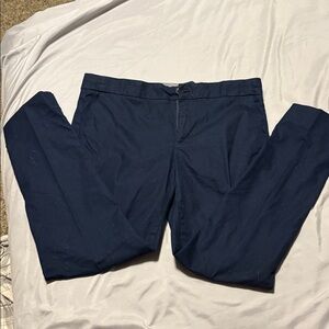 Banana Republic Dark Blue Trousers